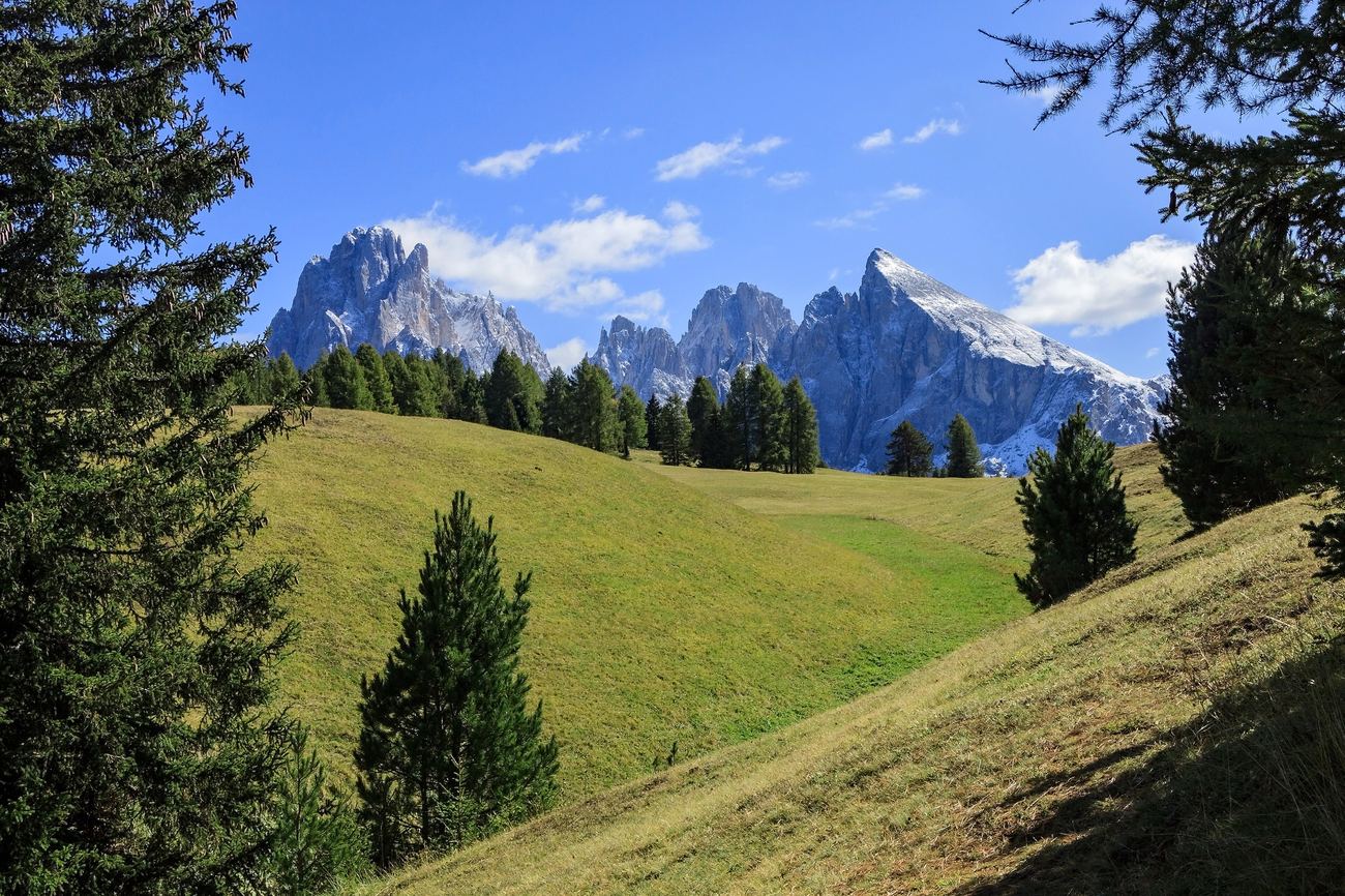 The Alpe di Siusi in summer